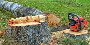 Best Storm Damage Tree Cleanup  in Turley, OK