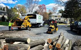 Best Organic Lawn Care Solutions  in Turley, OK