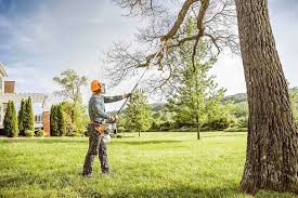 Best Tree Risk Assessment  in Turley, OK