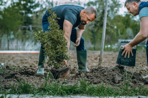 Best Lawn Drainage Solutions  in Turley, OK