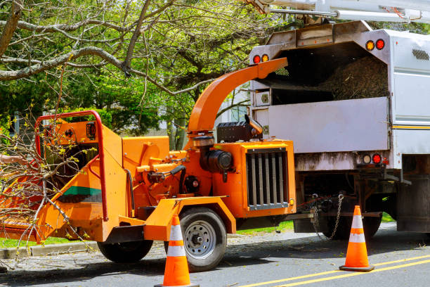 Best Commercial Tree Services  in Turley, OK