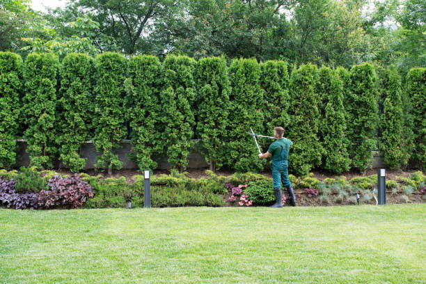 Best Lawn Maintenance Plans  in Turley, OK